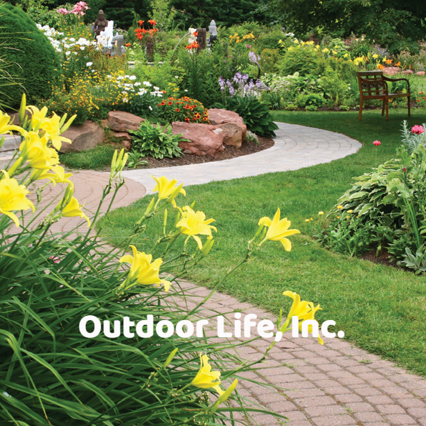 Affordable Walkway Landscaping Ideas