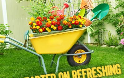 Get Started On Refreshing Your Landscape Today!