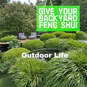 Give Your Backyard Feng Shui