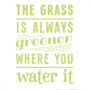 the grass is always greener when you water it