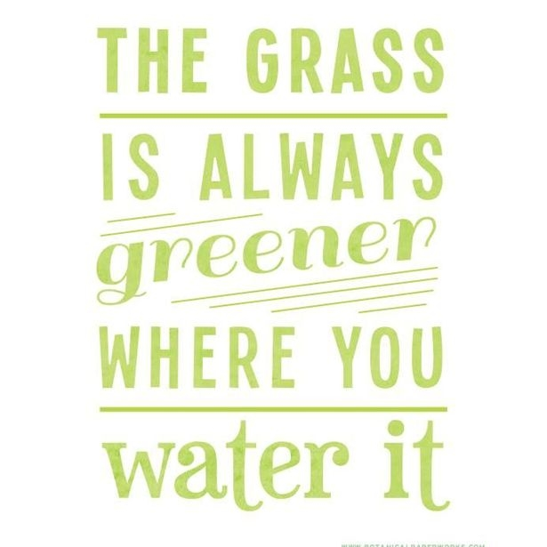 The Grass Is Always Greener When You Water It!