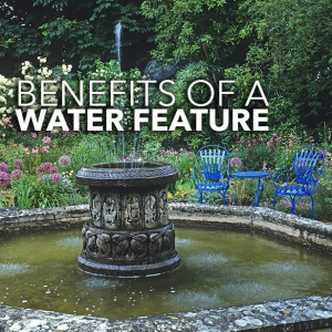 Benefits of a water feature