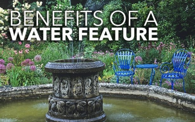 Benefits Of A Water Feature – Outdoor Contracting