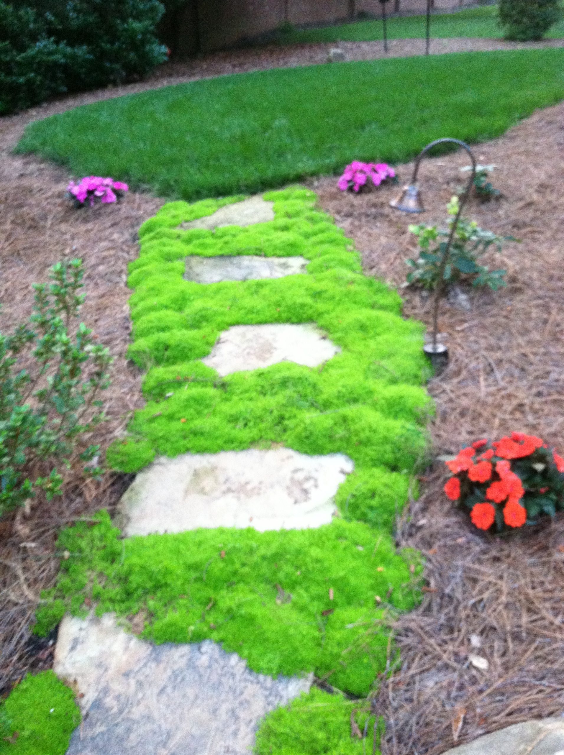 Your Lawn Is Part Of Your Life - Outdoor Contracting, Inc.