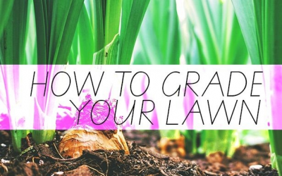 How To Grade Your Lawn – Outdoor Contracting, Inc.