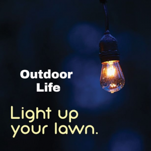 Light up your lawn