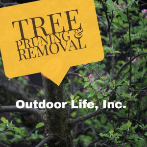 tree pruning and removal