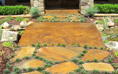 Stepping stone and mondo grass walkway – Outdoor Contracting