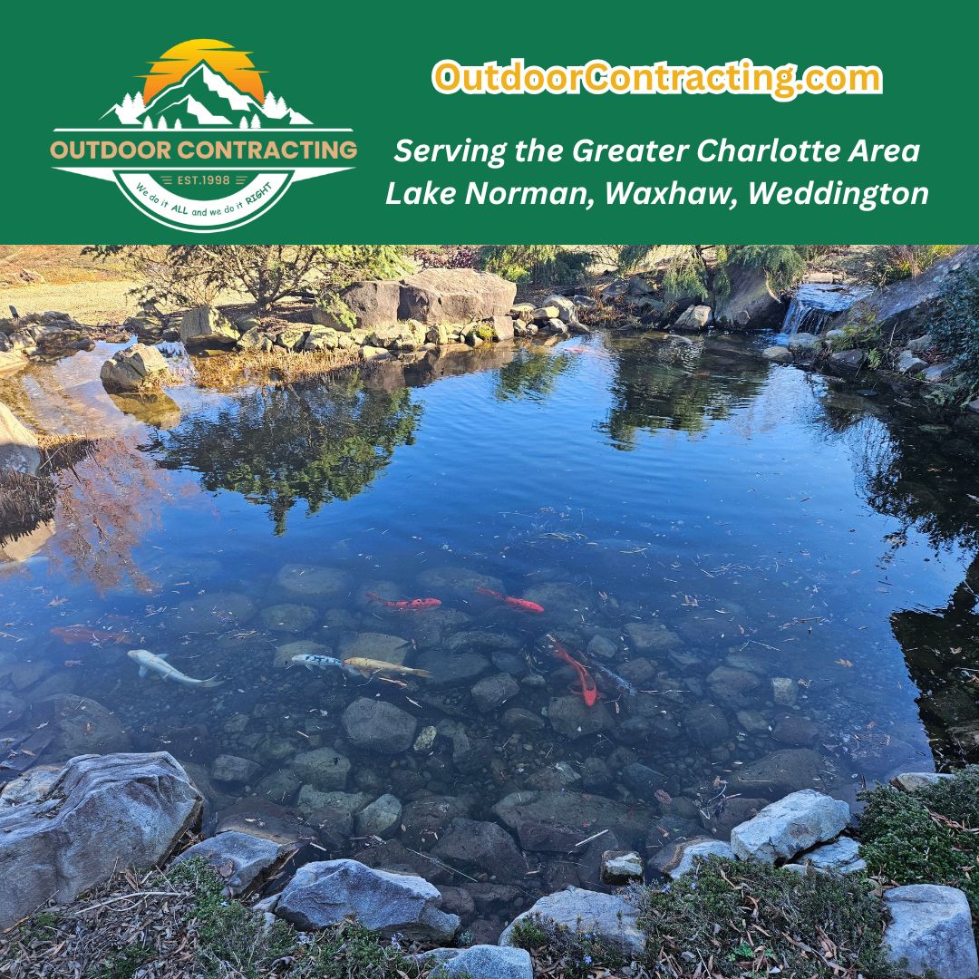 Transform Your Backyard with a Stunning Koi Pond by Outdoor Contracting