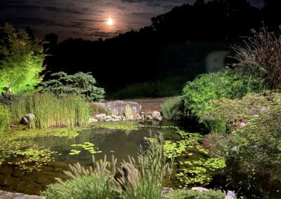 Koi Pond and lighting