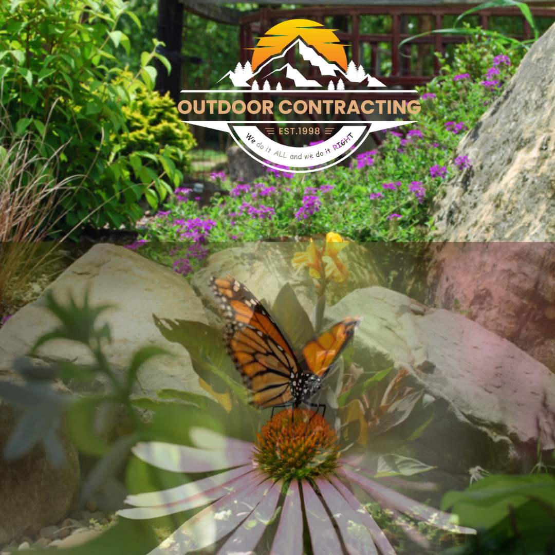 Butterflies Are Disappearing – Here’s How Your Outdoor Contracting Can Help