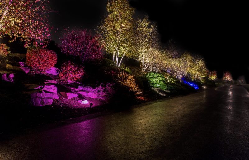 Premium Smart Lighting Design & Installation | Custom Outdoor Illumination with Automated Controls & Zoning