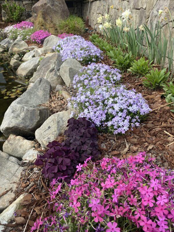 Professional Landscape Design & Installation | Engineered Backyard Transformation