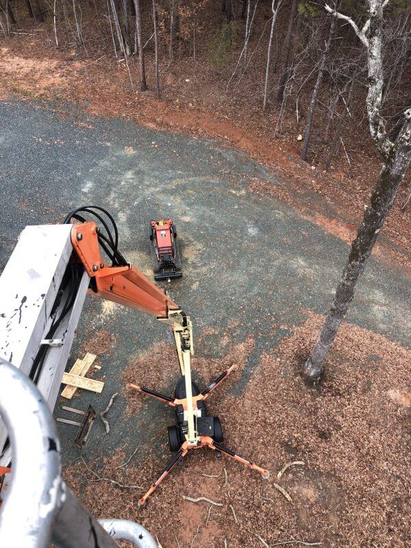 Tree Removal Contractor Serving Charlotte, Lake Wylie, Fort Mill, Waxhaw & Weddington | Large tree removal
