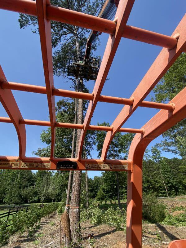 Luxury Backyard Landscaping Contractor Serving Charlotte, Lake Wylie, Fort Mill, Waxhaw & Weddington | Large tree removal