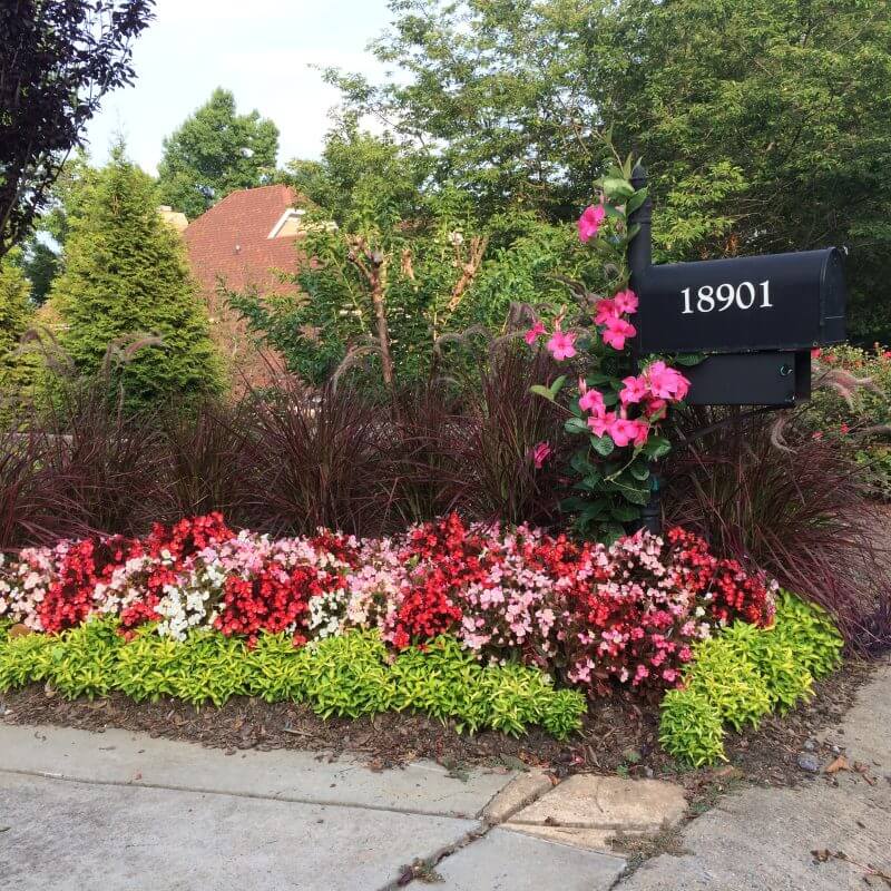 Professionally Designed Backyard Landscape | Sustainable Plantings & Hardscape Integration