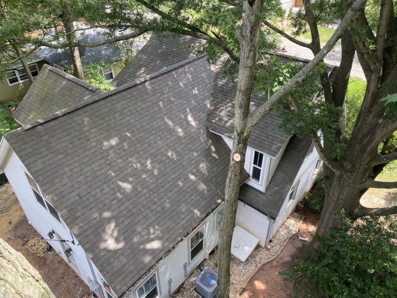 Engineered Tree Removal, Heavy machinery, Stump removal, Charlotte NC