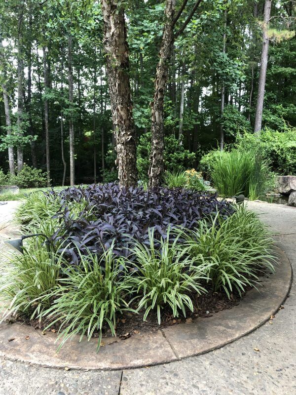 Custom Outdoor Landscaping Featuring Decorative Stone, Mulch & Foundation Plantings