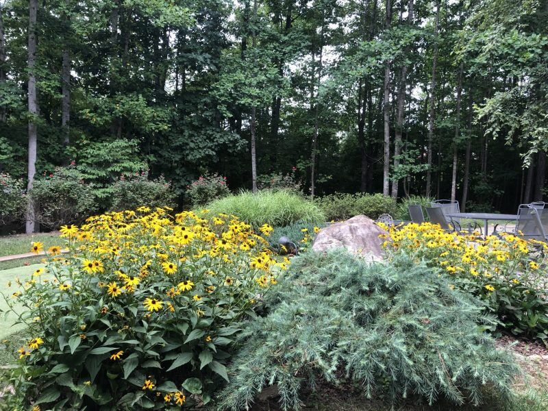 Luxury Backyard Landscape Installation | Drainage, Grading & Planting Solutions