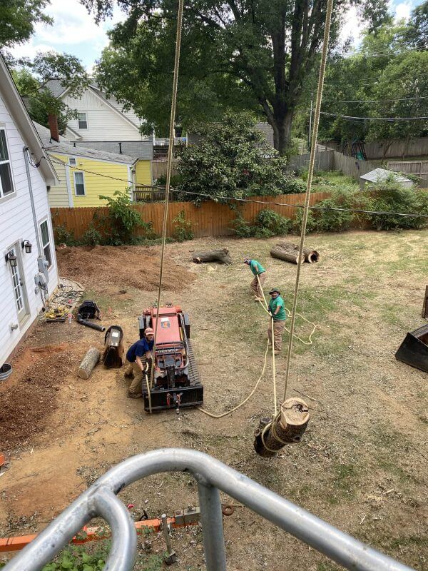 Engineered Tree Removal, Heavy machinery, Stump removal