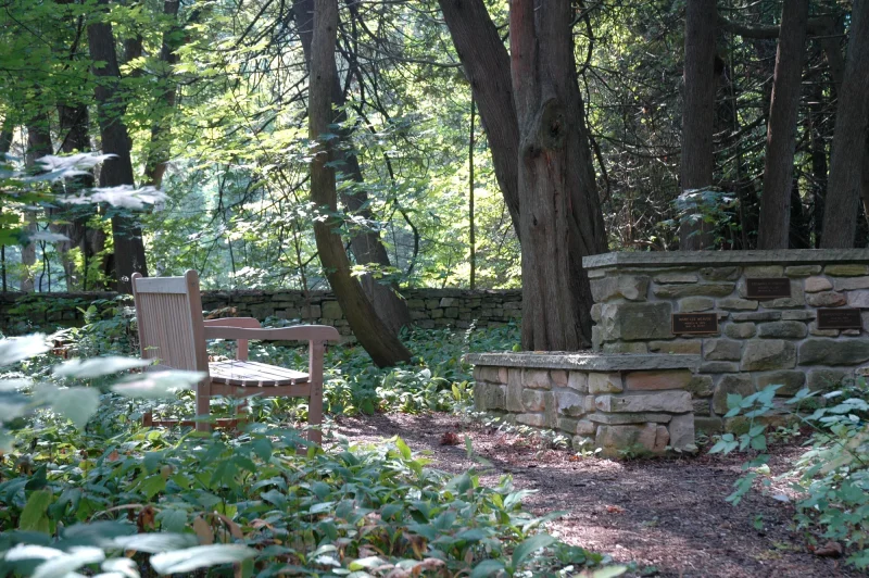 Constructed stone structure within a garden