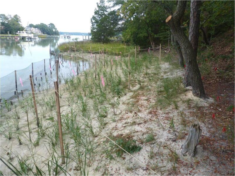 erosion control along the lake, Lake Norman lakefront, Lake Wylie lakefront