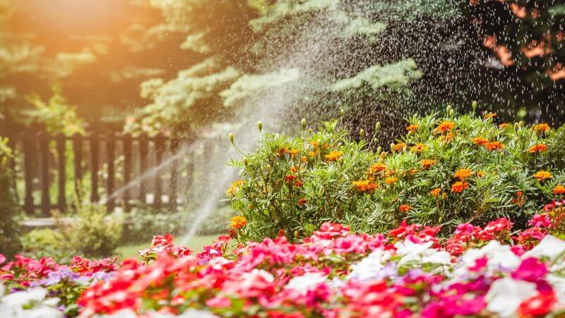 Spring startup for irrigation system, spring maintenance for sprinkler system
